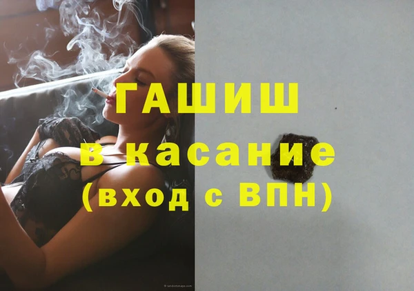 стаф Алзамай