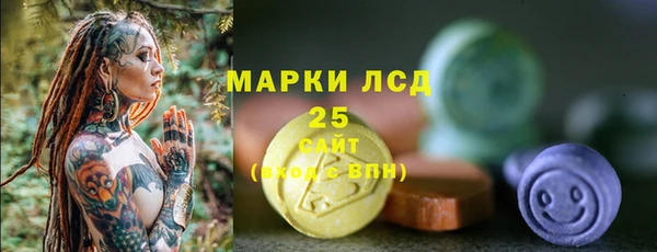 стаф Алзамай
