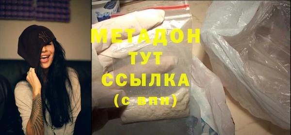 стаф Алзамай
