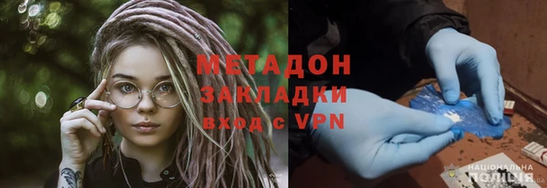 стаф Алзамай