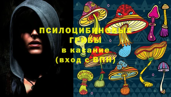 2c-b Алексин