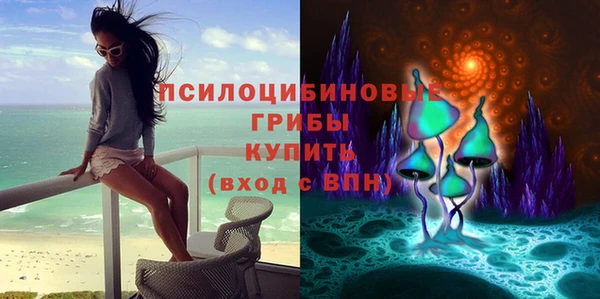 соль ск Алексеевка