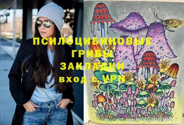 соль ск Алексеевка