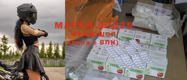 стаф Алзамай