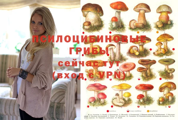 соль ск Алексеевка