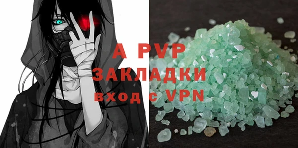 стаф Алзамай
