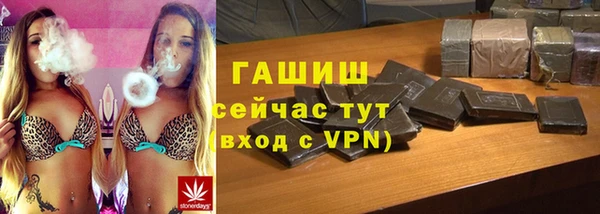 стаф Алзамай