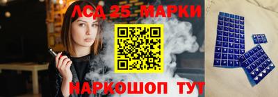 гидра Бердск