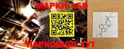 гидра Бердск