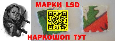 гидра Бердск
