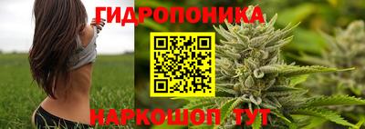 прущие крисы Белореченск