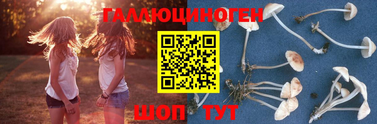 Псилоцибиновые грибы MAGIC MUSHROOMS  Галлюциногенные грибы Cubensis  Ипатово  Вход с VPN 